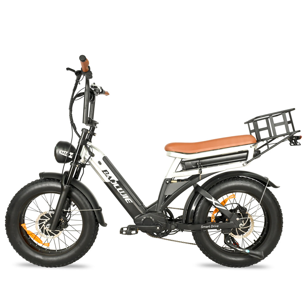 DP-2033 Dual Motor Fat Tire Electric Bike