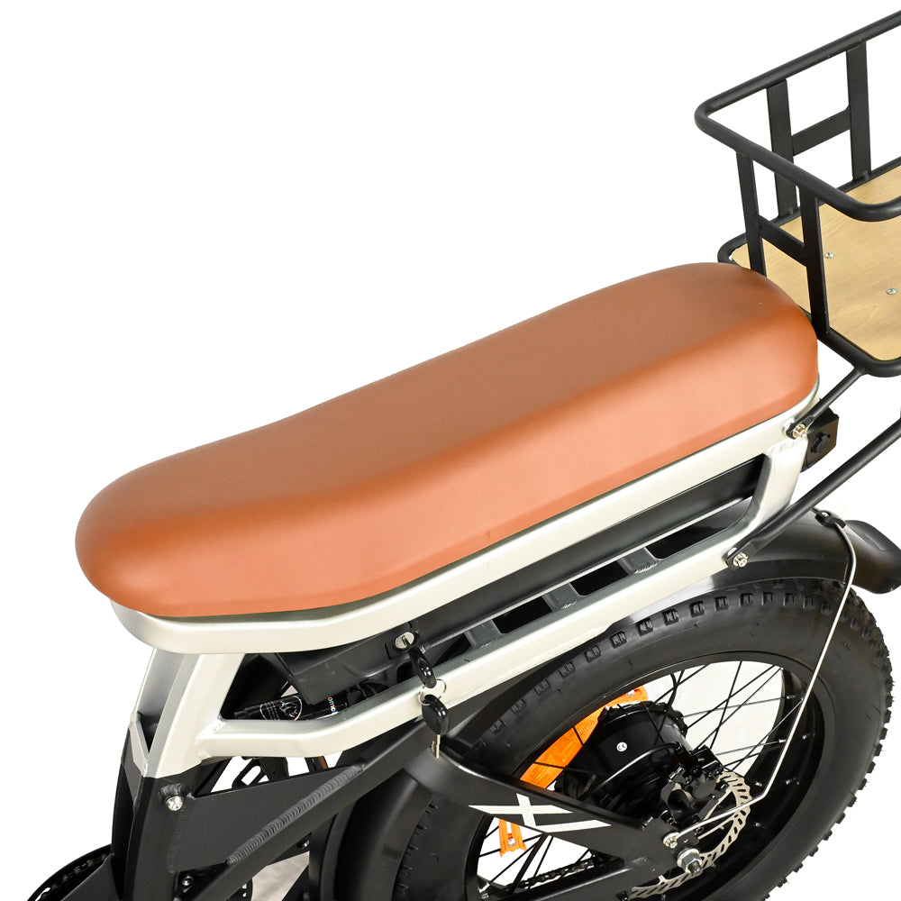 DP-2033 Dual Motor Fat Tire Electric Bike