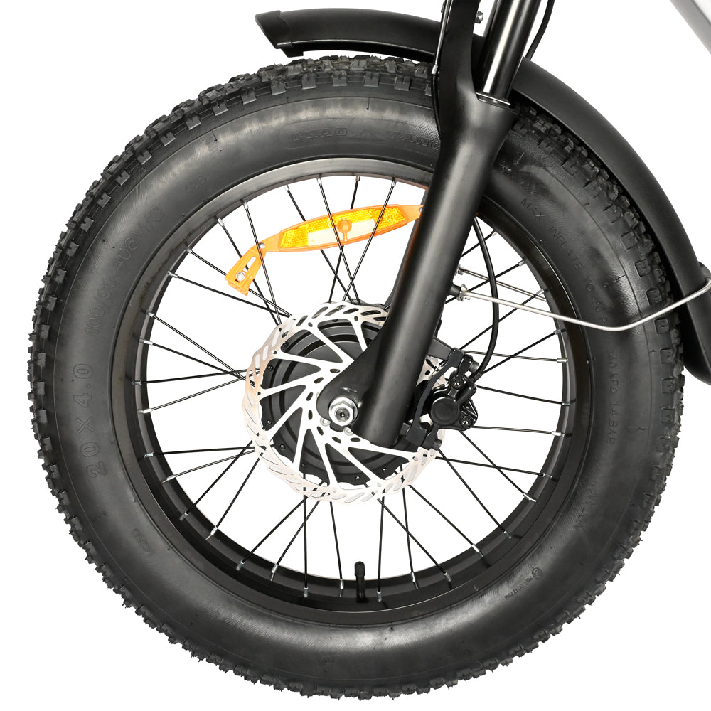 DP-2033 Dual Motor Fat Tire Electric Bike