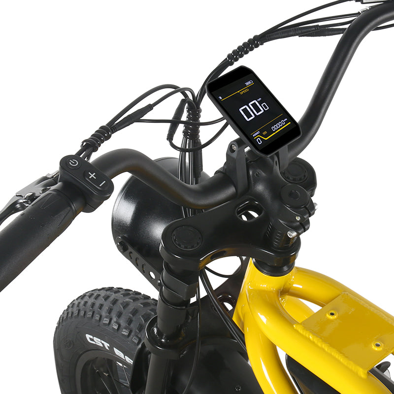Mankeel MZ-12 Electric Bike