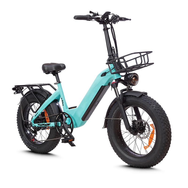 Mankeel MZ-9 Electric Bike