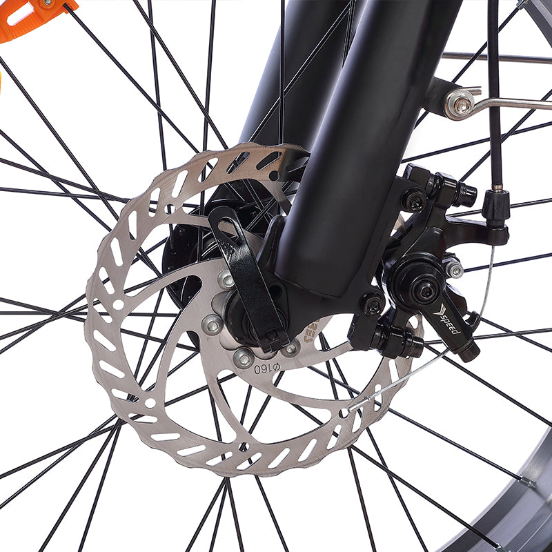 Mankeel MZ-9 Electric Bike