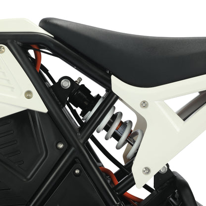 EDB001 Electric Dirt Bike