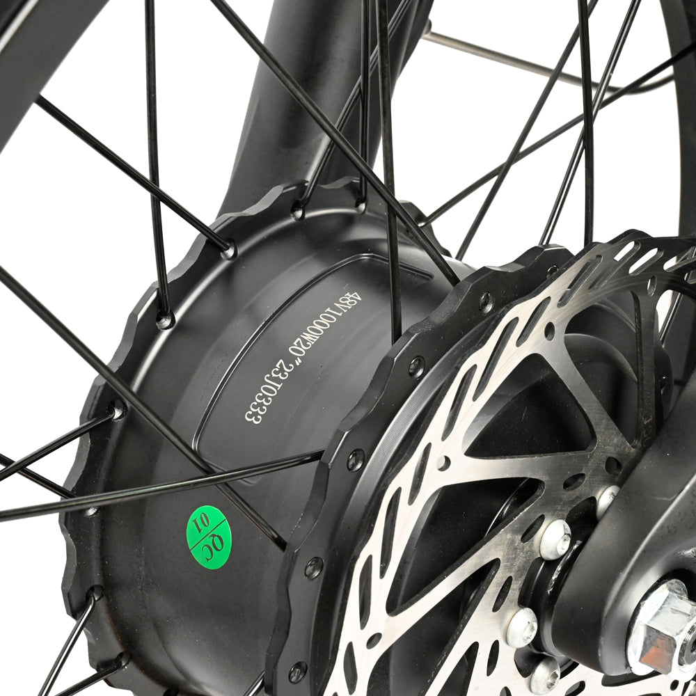 DP-2033 Dual Motor Fat Tire Electric Bike
