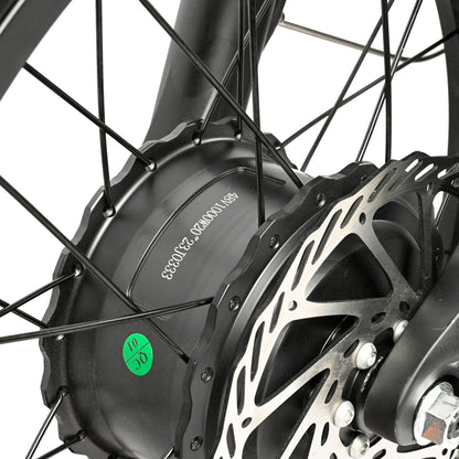 DP-2033 Dual Motor Fat Tire Electric Bike