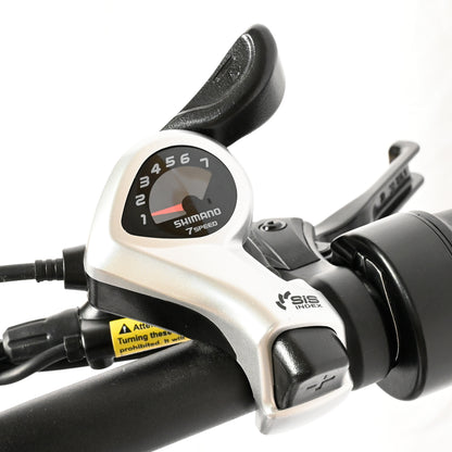 DP-2033 Dual Motor Fat Tire Electric Bike