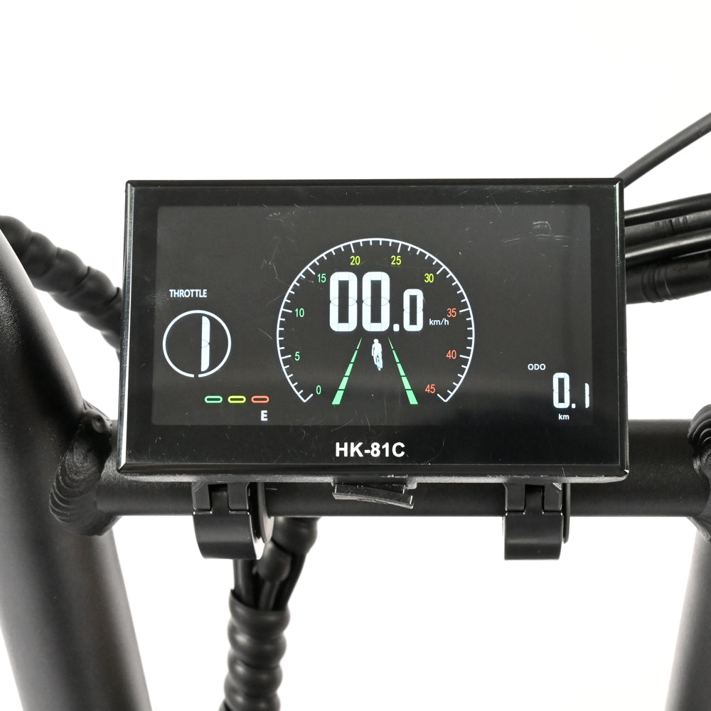 DP-2033 Dual Motor Fat Tire Electric Bike