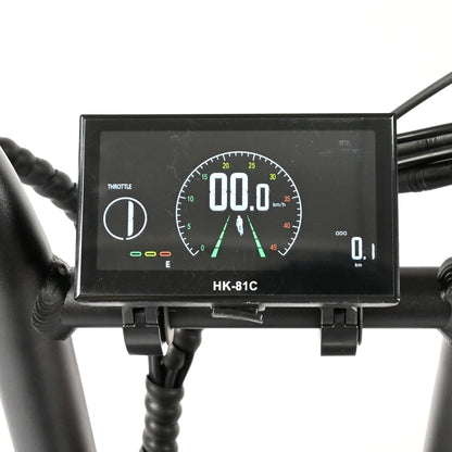 DP-2033 Dual Motor Fat Tire Electric Bike