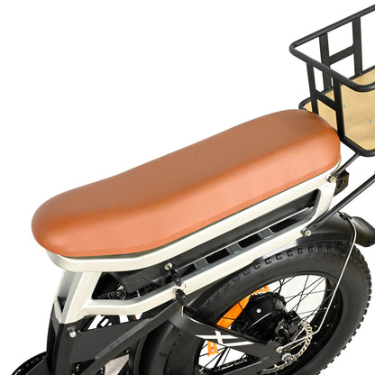 DP-2033 Dual Motor Fat Tire Electric Bike
