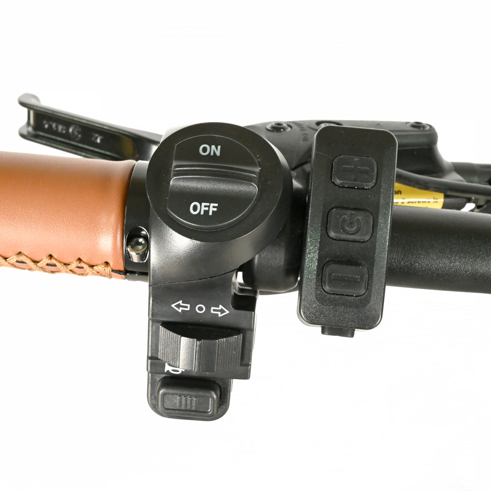 DP-2033 Dual Motor Fat Tire Electric Bike