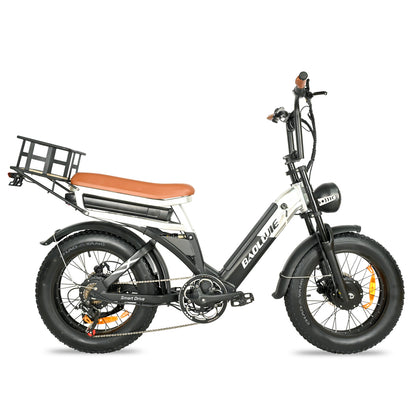 DP-2033 Dual Motor Fat Tire Electric Bike