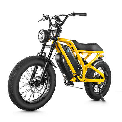 Mankeel MZ-12 Electric Bike