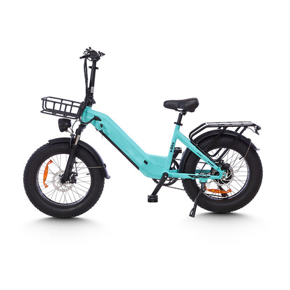Mankeel MZ-9 Electric Bike